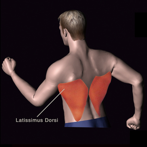Realleader Appareil de <span class=keywords><strong>musculation</strong></span> commercial à charge libre pour rame assise, équipement de fitness et de <span class=keywords><strong>musculation</strong></span> - Product Image 6