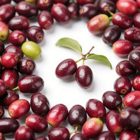 Heetverkopende fabrieksgroothandel 100% puur gevriesdroogd Miracle Berry fruitpoeder met vitamineverrijking, zuur smaakversterkend, voedingskwaliteit