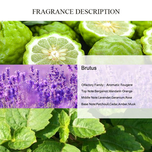 Huile de parfum UNIQUE AROMA <span class=keywords><strong>Brutus</strong></span>, huile de parfum concentrée en vrac pour parfums de marque, huiles de parfum à la lavande, à la rose et à la bergamote - Product Image 2