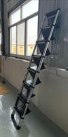 Escabeau en toile pour tente de toit