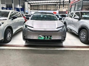 SUV Elettrico Usato 2025 550 PRO, Anno di Registrazione Maggio 2026, Solo 100KM, Come Nuovo, Vernice Originale - Product Image 2