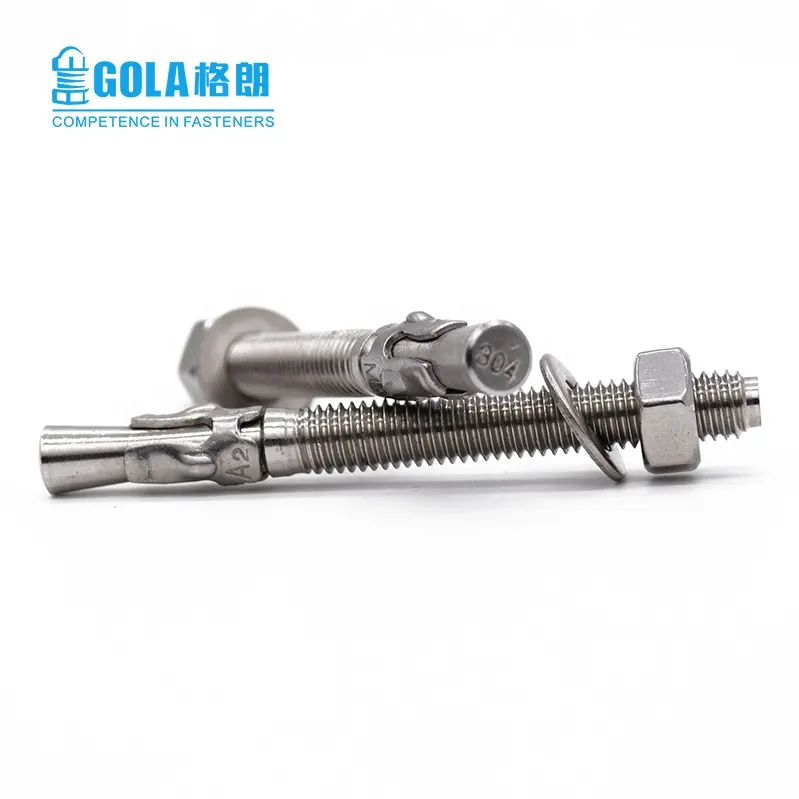 Stainless steel 304 Wedge anchor with nut for building Grade 4.8/5.8/8.8