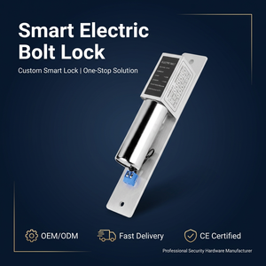 Fechadura Elétrica de Trinco Magnético 12V DC à Prova de Falhas em Aço Inoxidável para Portas de Vidro, Madeira e Metal – Sistema de Controle de Acesso OEM ODM - Product Image 1