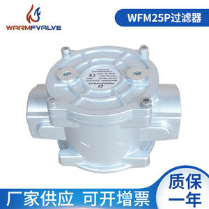 Filtre à air fileté DN25 en gros d'usine, filtre à gaz liquéfié en stock - Product Image 5