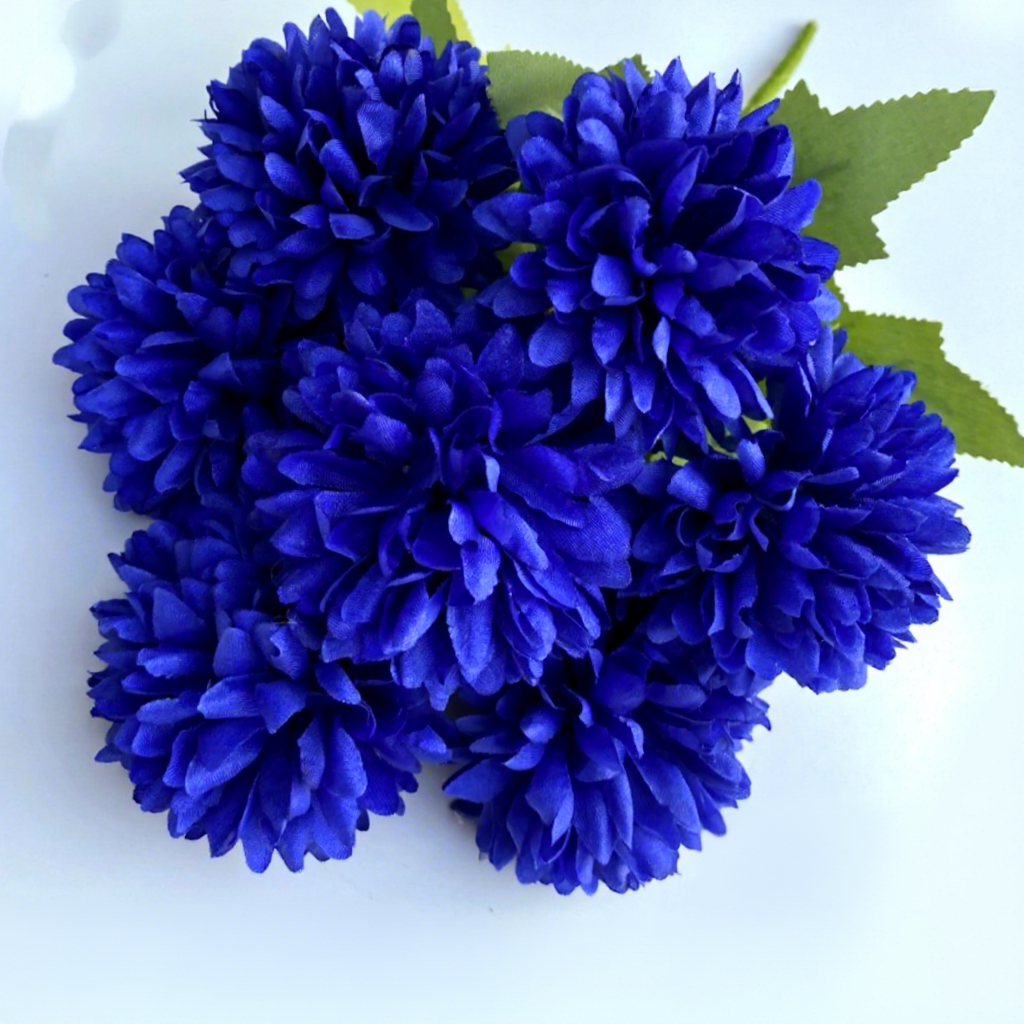 bleu marine
