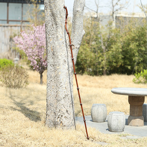 Bamboo Walking Stick With Gourd Decoration Anti Slip Outdoor Hiking Cane Collectible Ornament One Section Wood Tip - Product Image 4