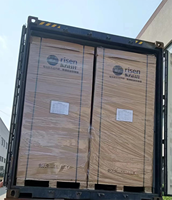Panneau solaire bifacial Risen à haute efficacité de type N HJT 690W 695W 700W 705W 710W 715W