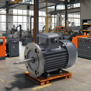 Moteur asynchrone triphasé Y2 IE1 à boîtier en fonte 30 KW 40HP 230V 60Hz haute efficacité entièrement fermé sur pieds - Product Image 1