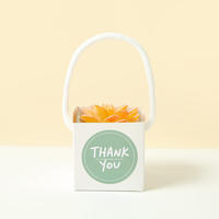 Boîte d'emballage carrée pliable et étanche en papier kraft recyclable et personnalisable pour mini-plantes en pot, vente en gros