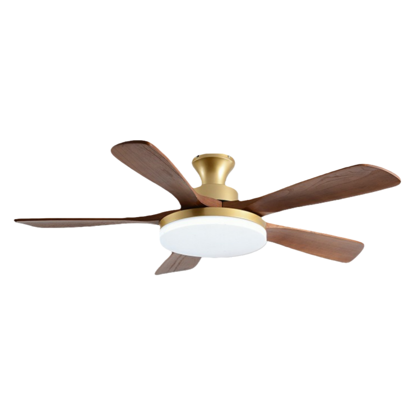 วอลนัทสีบรอนซ์