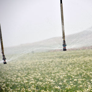 Сельскохозяйственная большая Поворотная Оросительная машина, Солнечная Поворотная оросительная система для продажи - Product Image 6