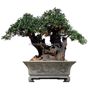 Macetas grandes <span class=keywords><strong>de</strong></span> <span class=keywords><strong>piedra</strong></span> antigua <span class=keywords><strong>para</strong></span> jardín, diseño <span class=keywords><strong>de</strong></span> paisaje, arte, bonsái, macetas <span class=keywords><strong>de</strong></span> flores, cuencos grandes <span class=keywords><strong>para</strong></span> plantas - Product Image 1