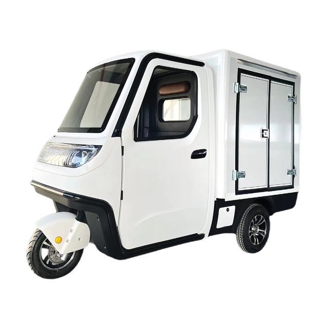 3 wheel Electric Scooter for Cargo Energy Saving Electric Tricycle