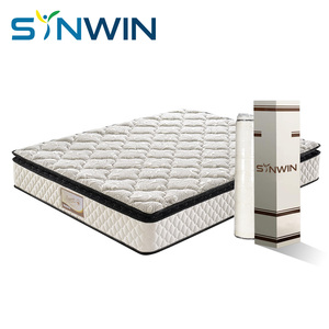Cama de sueño de agua profesional, colchón de muelles de bolsillo económico, hermoso - Product Image 1