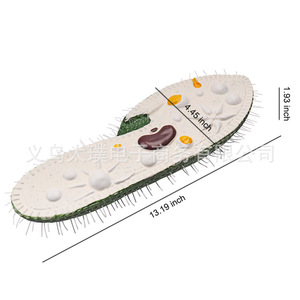 Modèle Paramecium : Un modèle de recherche et de démonstration pour l'enseignement de la biologie en classe au collège et au lycée. - Product Image 1