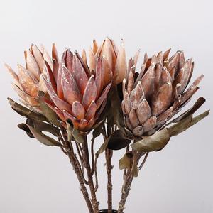 Exquisita Protea de Primera Calidad para Decoraciones de Eventos de Lujo, Perfecta para Decoraciones de Bodas Impresionantes y Decoraciones de Fiestas Memorables - Product Image 2