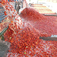 Automatische Kleine Tomaten Verwerking Productielijn Tomatenpuree Maken Machine Tomatenconcentraat Productielijn 30 Ton