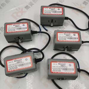 50041883001 ชุดประกอบโซลินอยด์สำหรับหม้อไอน้ำแบบเผาไหม้ - Product Image 3