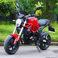 Nouveau pour Little Monkey/Little Monster/Little Baboon 150CC Big Doll Motorcycle Straddle Street Bike WH110T-7 120Km/h