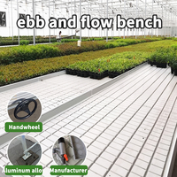 Grand banc mobile hydroponique argenté avec irrigation intégrée, lit de pépinière galvanisé pour semis en serre automatisée