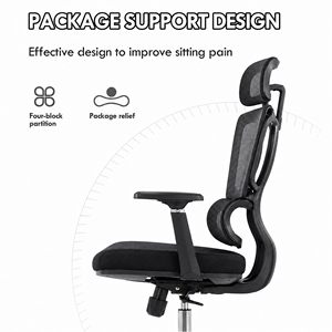 Chaise de bureau ergonomique en maille au design moderne avec soutien lombaire réglable, dossier ouvert et vérin à gaz de classe 4 - Product Image 6