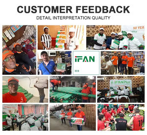 IFAN mẫu miễn phí <span class=keywords><strong>PPR</strong></span> ống nước vật liệu nhựa ống nước plomberie pn25 ổ cắm khớp nối Công Đoàn Nắp khuỷu tay TEE <span class=keywords><strong>PPR</strong></span> phụ kiện - Product Image 5