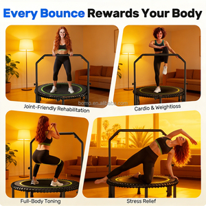 Cama Elástica Zoshine de Alta Calidad para Uso Doméstico, Adultos y Niños, Silenciosa, Plegable, con Reposabrazos Redondos, Trampolín Deportivo para Fitness - Product Image 6