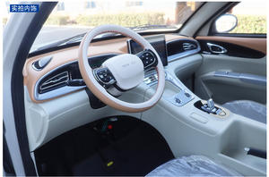 Véhicule électrique à 4 roues YOLA à faible vitesse avec moteur de 3500W-5000W, autonomie de 101 à 200 km, idéal pour les stations balnéaires et les campus - Product Image 6