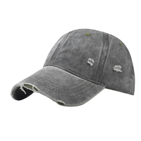 Gorra de Béisbol Personalizada OEM, Bordado de Alta Calidad, Logotipo 3D, 100% Algodón, 6 Paneles, Gorra de Golf con Logotipo Personalizado, MOQ Bajo