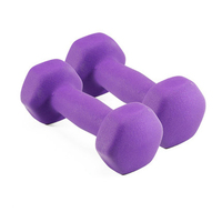 Haltères de yoga et de pilates miniatures, légers, pour la maison, unisexes, pour l'exercice et la remise en forme