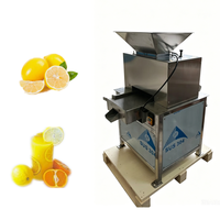 Presse-agrumes industriel automatique à double rouleau pour oranges et citrons