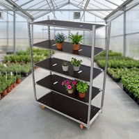 Chariot de transport de plantes en acier galvanisé à chaud, type Danemark, avec étagères en contreplaqué, pour pépinière et serre, modèle Dutch CC Container