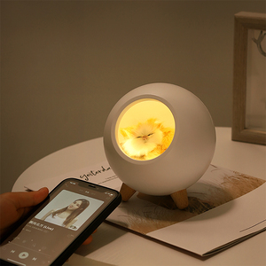 โคมไฟกลางคืน LED แบบชาร์จไฟได้ปรับได้ข้างเตียงในห้องนอนโคมไฟกลางคืนรูปแมวน่ารักบ้านแมวสำหรับเด็ก - Product Image 4
