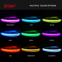 Luces LED de Neón Flexibles para Hoteles y Parques Temáticos, 24V WS2811 RGBIC Pixel Programables, Tiras de Luces para Exteriores