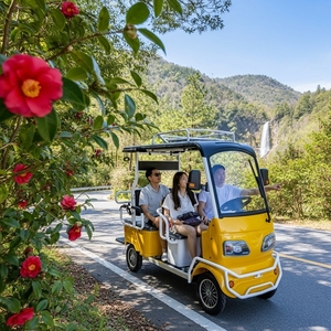 Carrito de <span class=keywords><strong>Golf</strong></span> Eléctrico HLD Homologado para Calle con Asientos para Pasajeros, <span class=keywords><strong>Motor</strong></span> de 2200W, Capacidad de Carga de 500KG, 4 Ruedas, Bicicleta Eléctrica para Turismo - Product Image 2
