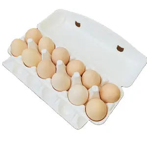 Fábrica de bandejas de huevos de pulpa biodegradable desechable más vendida al por mayor 6/8/10/12/15/30 celdas, el mejor cartón para almacenamiento de alimentos