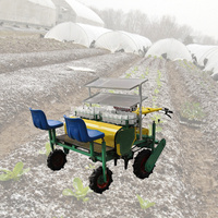 Betterave d'aubergine efficace et facile à utiliser, machine de repiquage de semis de plantation de serre de poivre