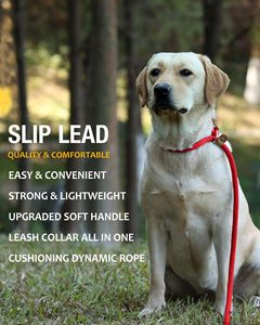 Correa y Collar personalizados de fábrica, cuerda retráctil, embalaje extensible, Correa multifunción de lujo para manos de mascotas, correa para perros - Product Image 5