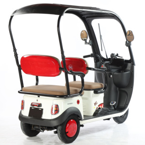 <span class=keywords><strong>Triciclo</strong></span> Eléctrico EEC de 650w, 60v, con Techo, Utilitario, para Pasajeros Adultos, <span class=keywords><strong>Triciclo</strong></span> de Carga de 3 Ruedas, Certificado DOT, Motocicleta <span class=keywords><strong>Triciclo</strong></span> - Product Image 6