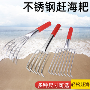 Green Heng Stainless Steel Beach Rake 30cm Length For Shell Digging And Clam Harvesting - Product Image 4