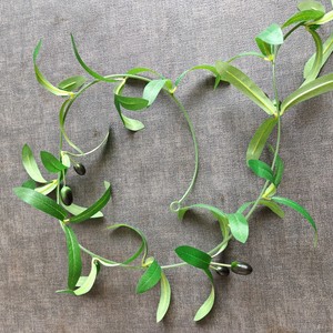 Guirnaldas de olivo artificiales Zhiyuan de 2 m, flores de seda, decoración de plantas verdes para bodas, hogar y centros comerciales - Product Image 1