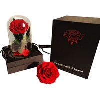 Echte Rose mit LED-Licht konservierten Rosen in Glas Ewige Blumen kuppel für Mädchen Frau Rot Valentinstag Geschenk Ainy Rose