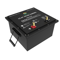 Lithmate AC parkir fungsi ganda, baterai memulai truk sepeda dalam 24V 100AH 150Ah 160Ah 200ah
