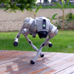Robot Cuadrúpedo Unitree Go2 EDU Estándar con Reconocimiento de Visión por IA, Control por Gestos, Educativo, Linux, Control por Aplicación, Metálico - Product Image 2