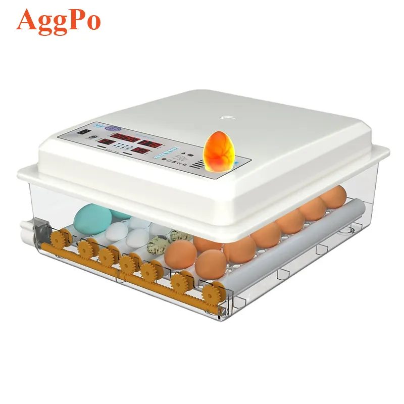 Incubatrice di uova di gallina per uso domestico piccola grande capacità automatica intelligente di uova di quaglia di anatra