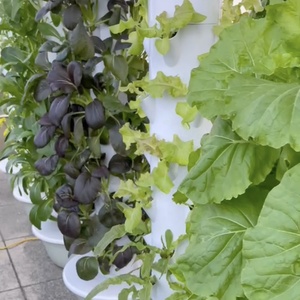 Torre Hidropónica de 11 Niveles 2024, Invernadero Inteligente de Bajo Costo, Sistemas de Cultivo Vertical para Hierbas - Product Image 4