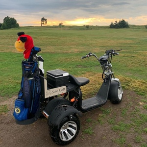 Almacén de EE. UU./UE Precio barato Eléctrico 3 Seat Star Usado Panel solar personalizado Carrito de golf Precio Venta Buggy de golf eléctrico <span class=keywords><strong>Citycoco</strong></span> - Product Image 6