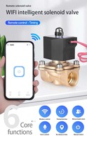 WiFi intelligent contrôler à distance la vanne sur le téléphone portable WIFI électrovanne en laiton vanne d'eau