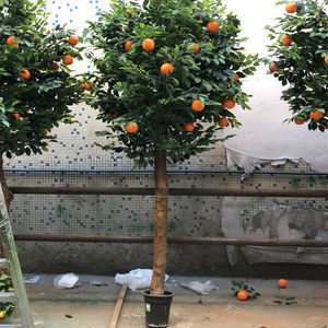 Venta <span class=keywords><strong>al</strong></span> por mayor de naranja y de limón de fructificación de follaje Artificial Bonsai fruta árbol para la decoración de interiores - Product Image 5