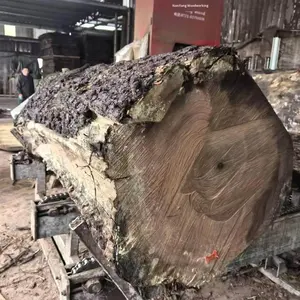 Sedia da Pranzo Dingshuai in Legno Massello di Noce Nero Nordamericano, Stile Nordico Moderno <span class=keywords><strong>con</strong></span> Schienale, Arredamento per Sala da Pranzo dalla Cina - Product Image 3